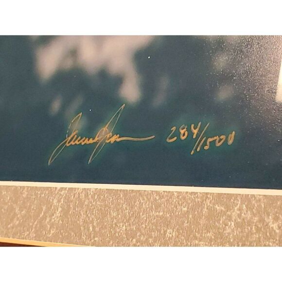 Millcreek Wildlife Reflections Eagle Photo Hand Signed Framed 19 3/4x16" 24"x30" - Picture 3 of 5